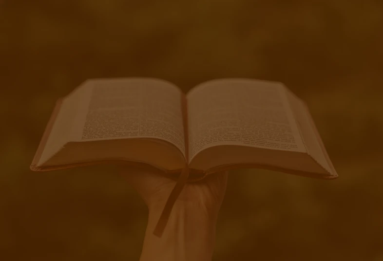 Hand holding an open book.
